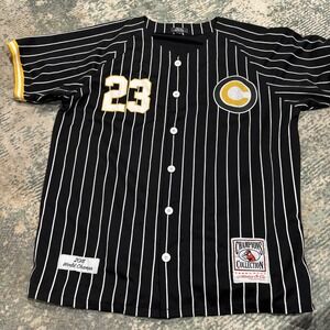 Bare Fox Queen Black Striped Chicago Cubs Jersey Legendary No 23 Women's 3 Curvy